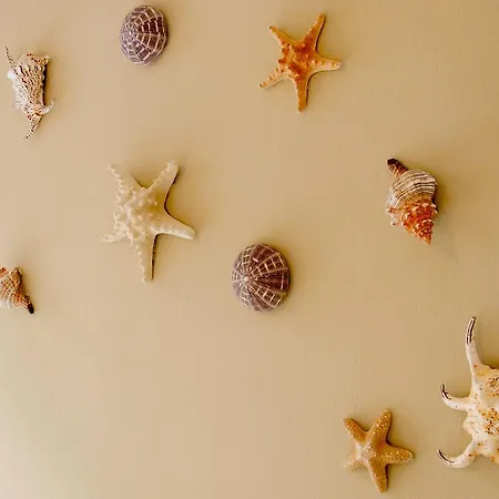 Rhodes Backpackers Boutique And Rhodes City