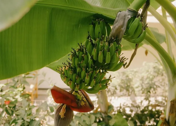 Rhodes Backpackers Boutique And * Rhodes City